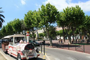 Visite De Bastia À Pieds & Petit Train